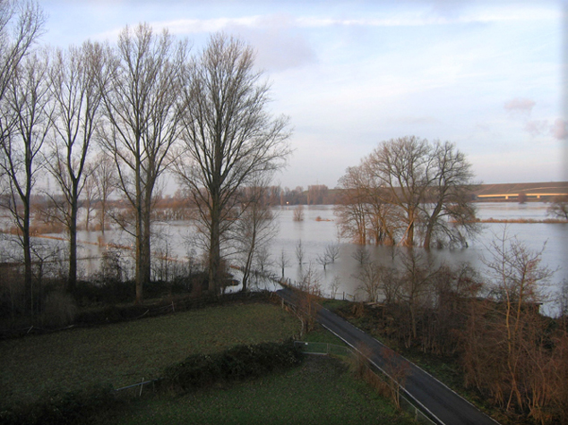 n_06_mk_kbw 2011.jpg